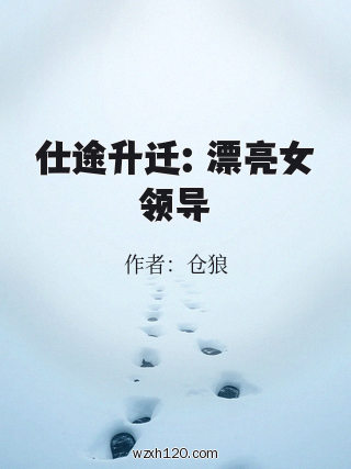 仕途升迁：漂亮女领导