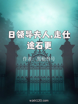 日领导夫人,走仕途石更