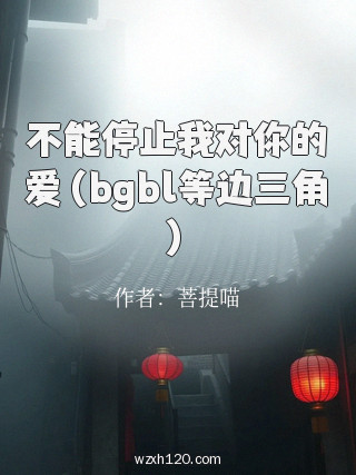 不能停止我对你的爱（bgbl等边三角）