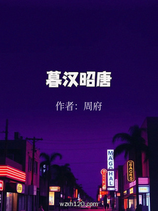 暮汉昭唐