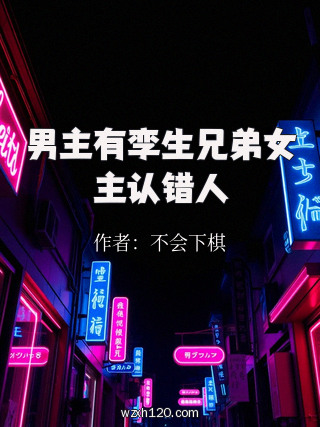 男主有孪生兄弟女主认错人