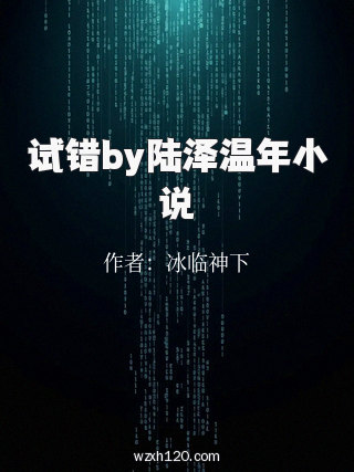 试错by陆泽温年小说