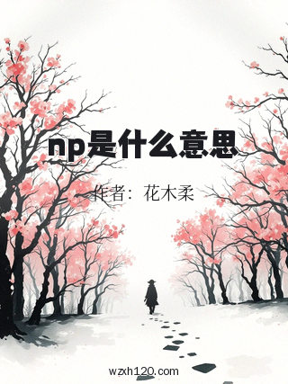 np是什么意思