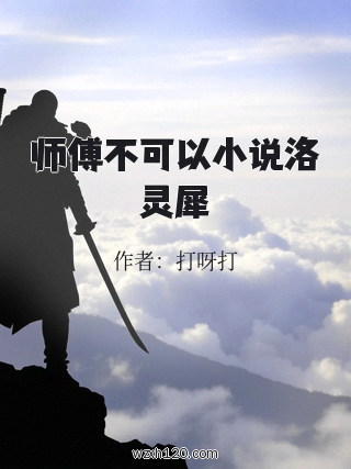 师傅不可以小说洛灵犀