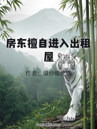 房东擅自进入出租屋