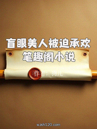 盲眼美人被迫承欢笔趣阁小说