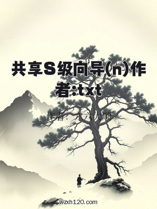 共享S级向导(n)作者:txt