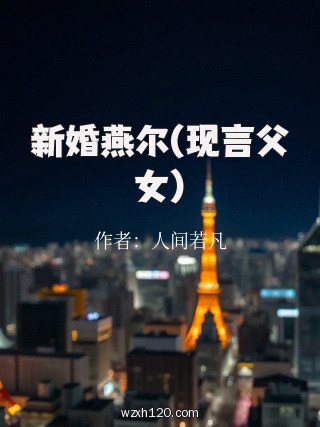 新婚燕尔(现言父女)