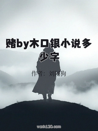 赌by木口银小说多少字