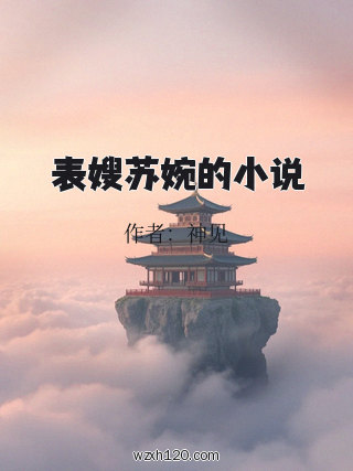表嫂苏婉的小说