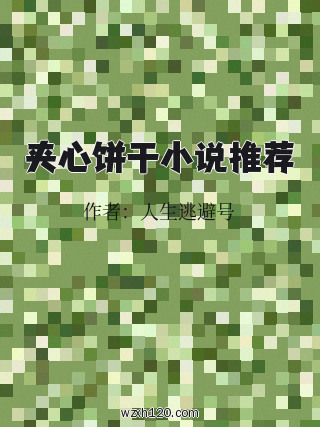 夹心饼干小说推荐