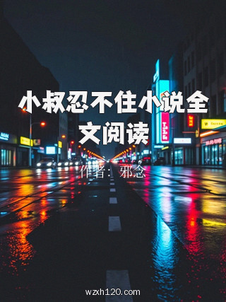 小叔忍不住小说全文阅读