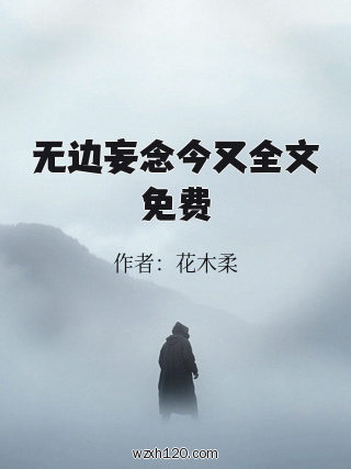 无边妄念今又全文免费