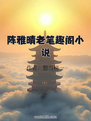 陈雅晴老笔趣阁小说