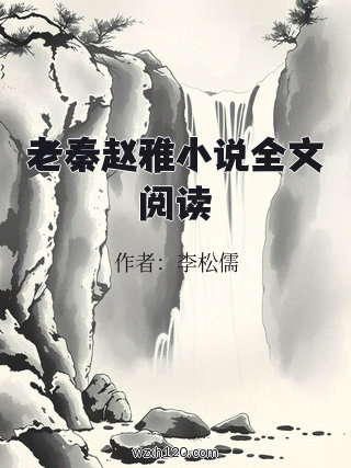 老秦赵雅小说全文阅读