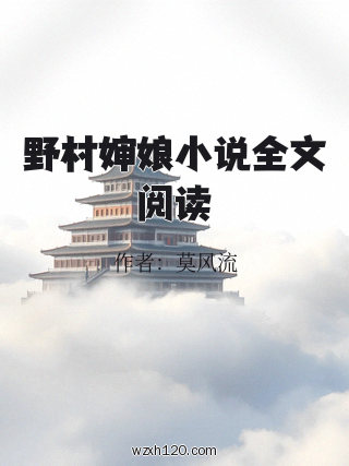 野村婶娘小说全文阅读
