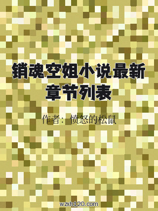 销魂空姐小说最新章节列表