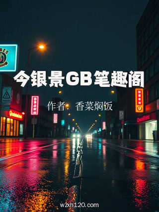 今银景GB笔趣阁