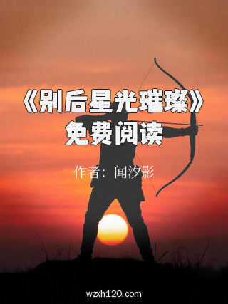 《别后星光璀璨》免费阅读