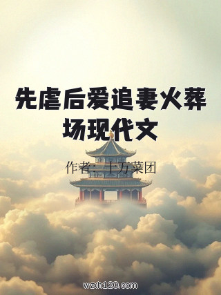 先虐后爱追妻火葬场现代文