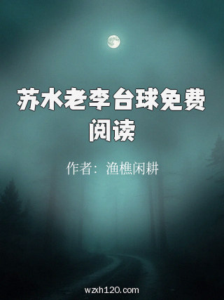 苏水老李台球免费阅读