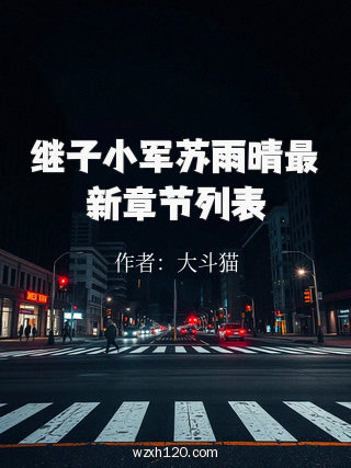 继子小军苏雨晴最新章节列表