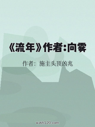 《流年》作者:向雾