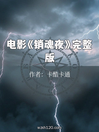 电影《销魂夜》完整版