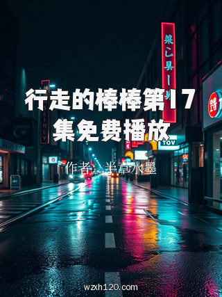 行走的棒棒第17集免费播放