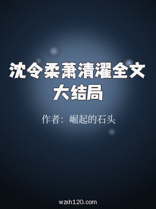 沈令柔萧清濯全文大结局