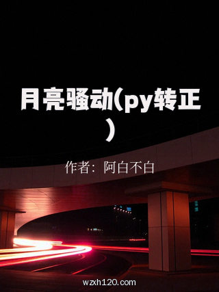月亮骚动(py转正)