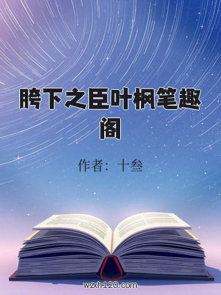 胯下之臣叶枫笔趣阁