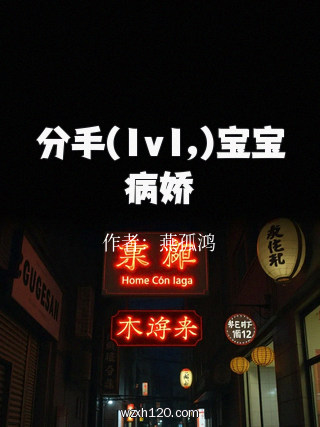 分手(1v1,)宝宝病娇