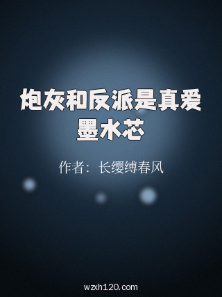 炮灰和反派是真爱墨水芯