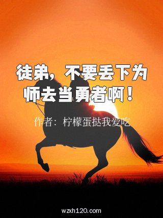 徒弟，不要丢下为师去当勇者啊！