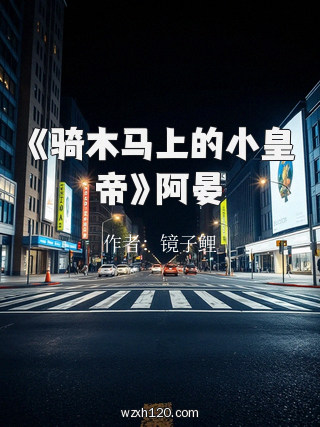 《骑木马上的小皇帝》阿晏