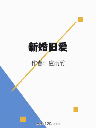 新婚旧爱