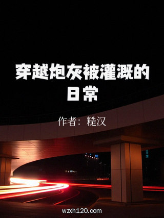 穿越炮灰被灌溉的日常