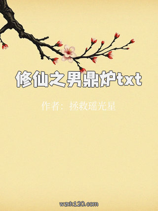 修仙之男鼎炉txt
