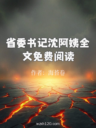 省委书记沈阿姨全文免费阅读
