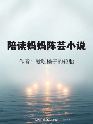 陪读妈妈陈芸小说