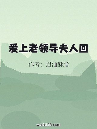 爱上老领导夫人回