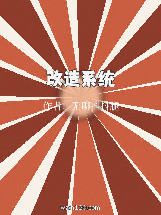 改造系统