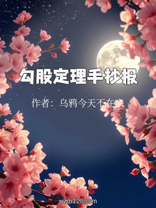 勾股定理手抄报
