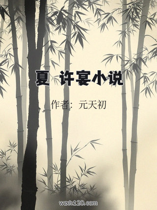 夏岺许宴小说