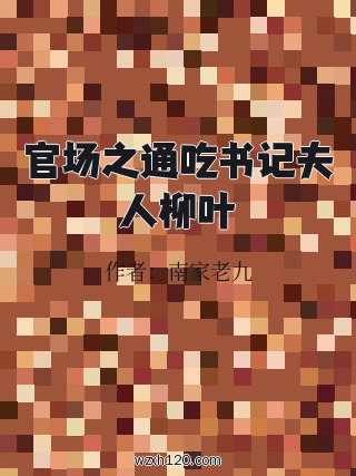 官场之通吃书记夫人柳叶