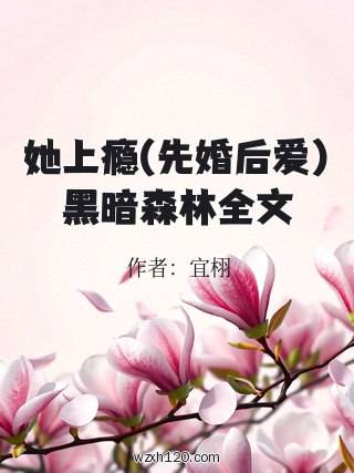 她上瘾(先婚后爱)黑暗森林全文