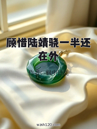 顾惜陆靖骁一半还在外