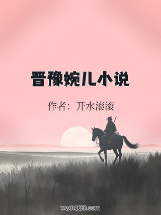 晋豫婉儿小说