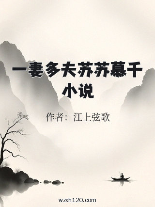一妻多夫苏苏慕千小说